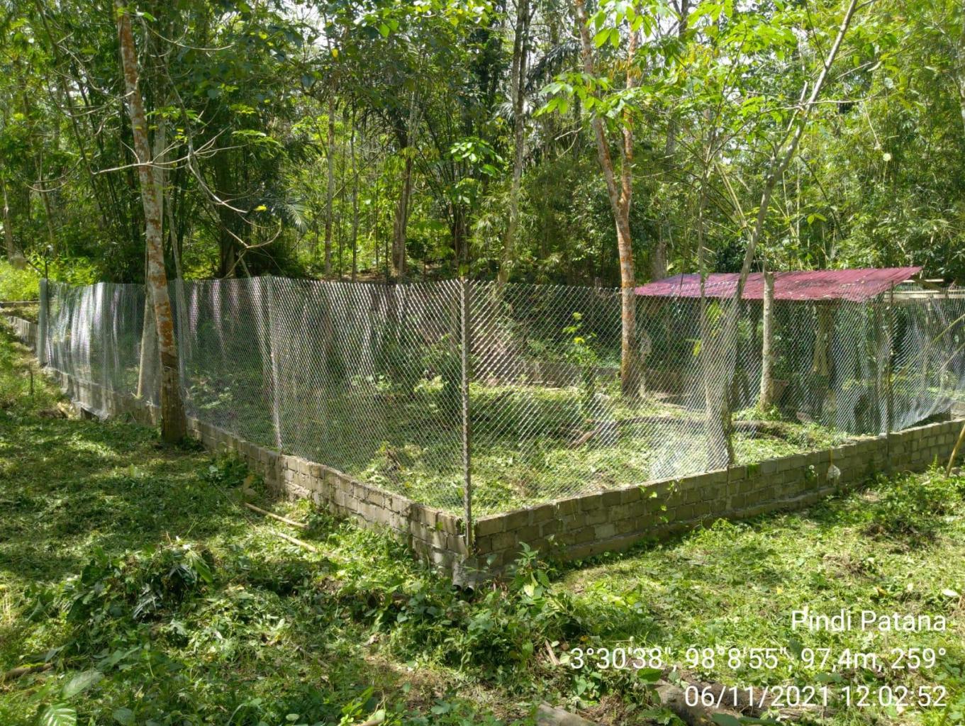 Wisata Buatan Pemeliharaan Rusa Sumatera