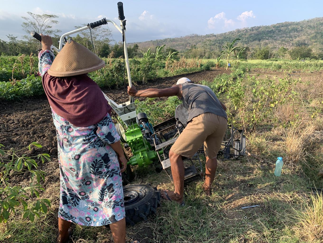 Membajak sawah