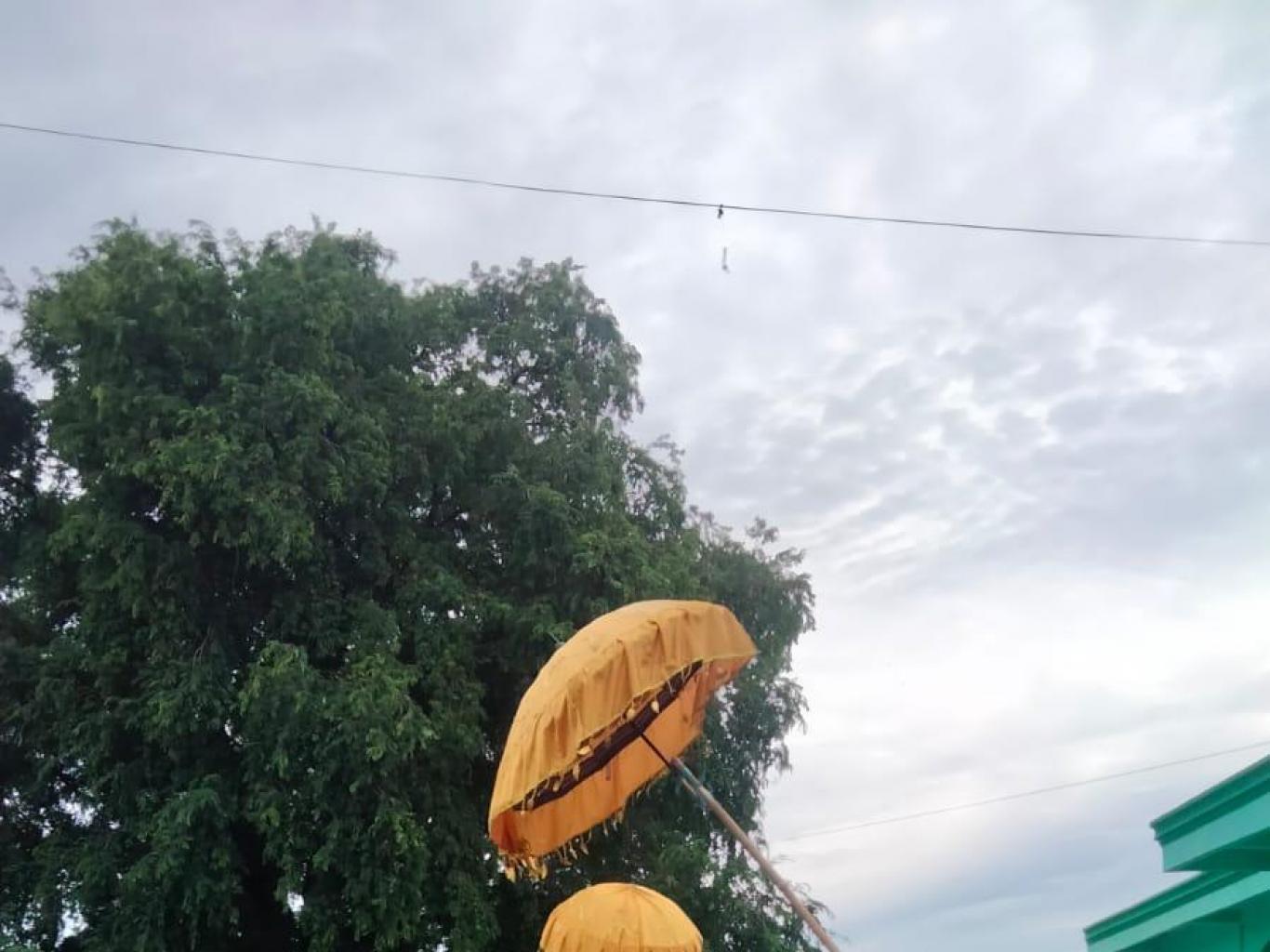Kuda tari pattuduq