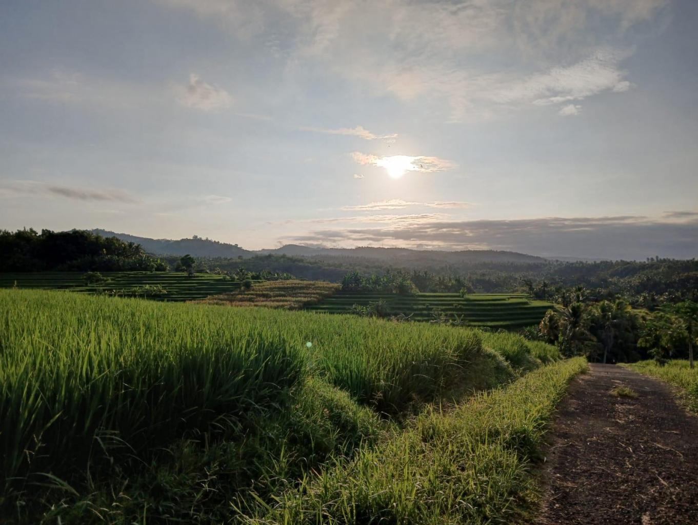 Paket wisata keliling desa medewi tour de village