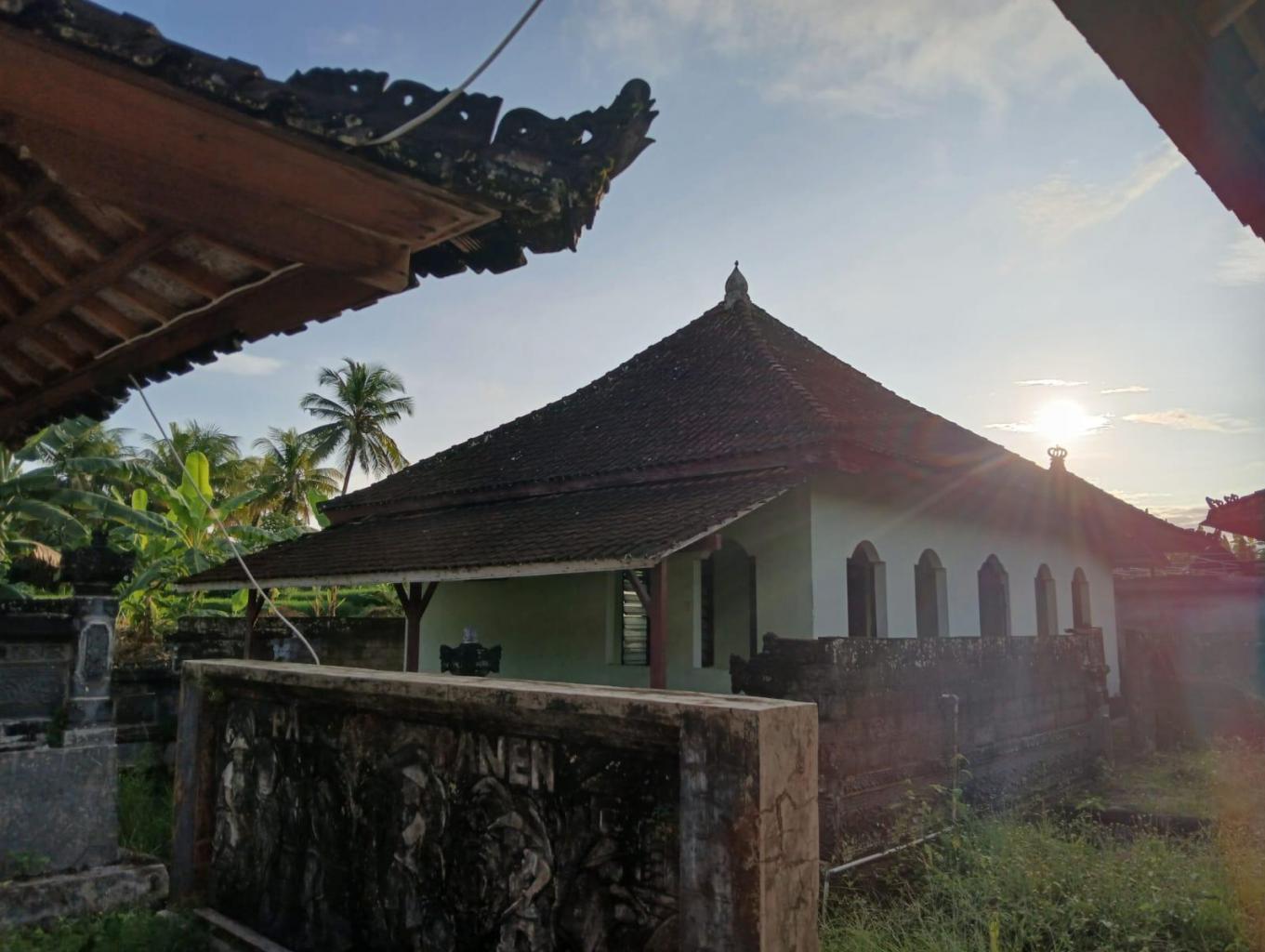 Paket memanen padi di subak medewi