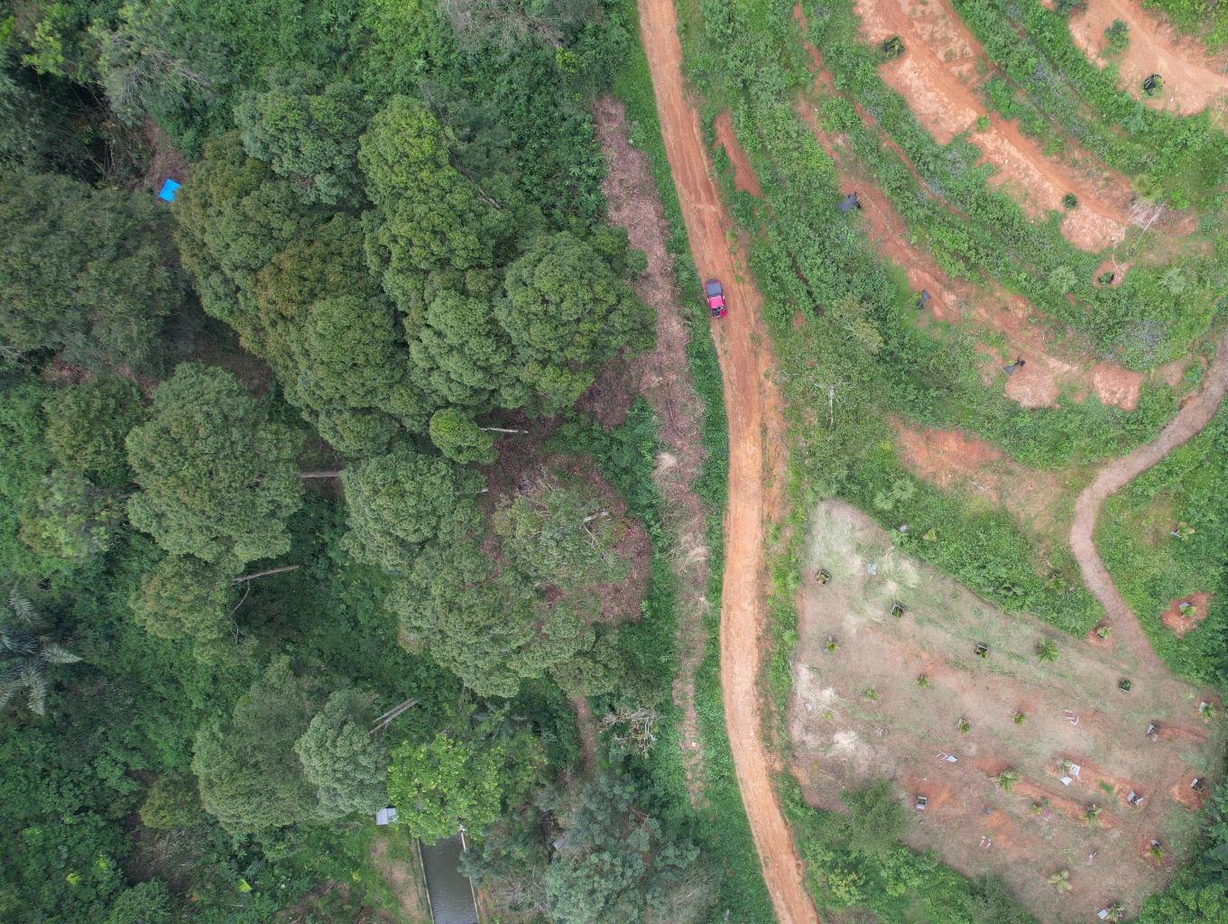 Offroad