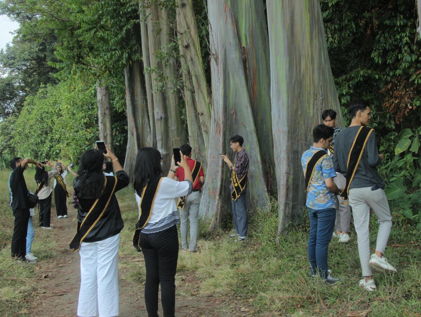 Pengamatan Hutan Pelangi