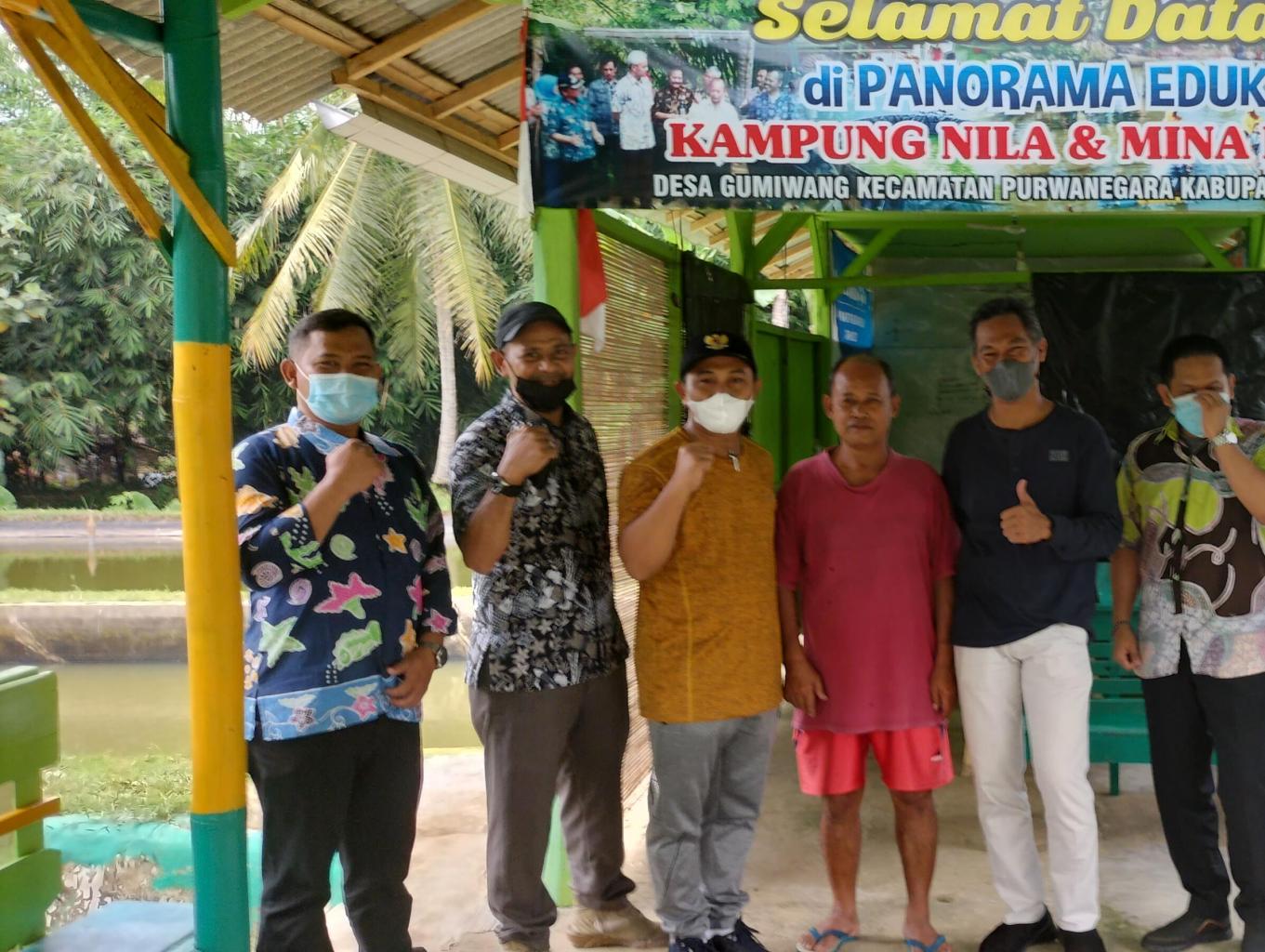 edukasi Ikan nila