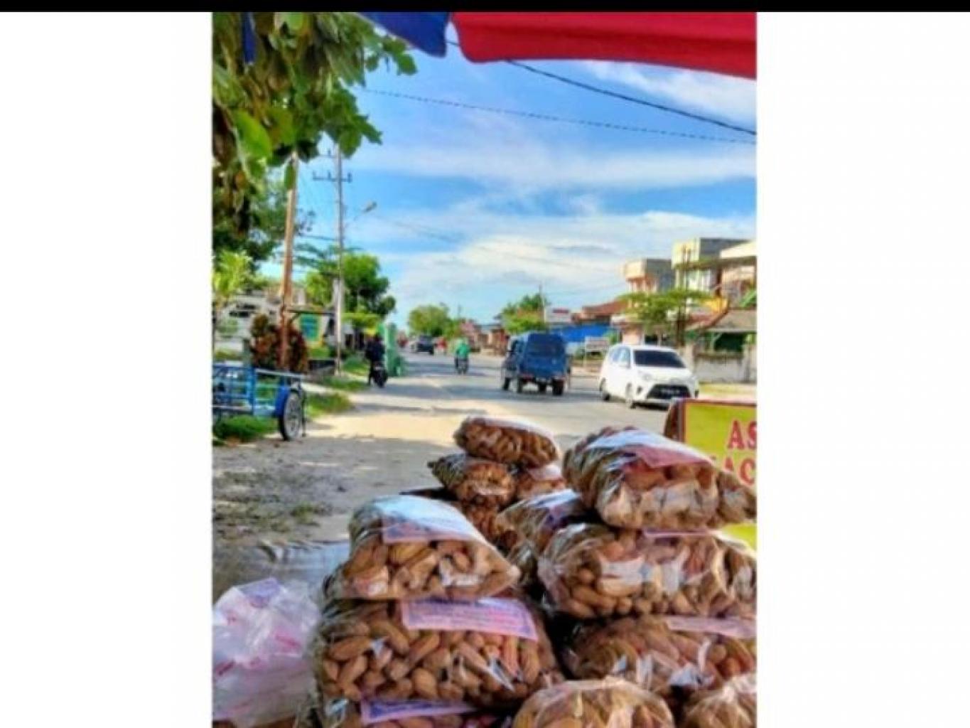 Kacang Pasaman