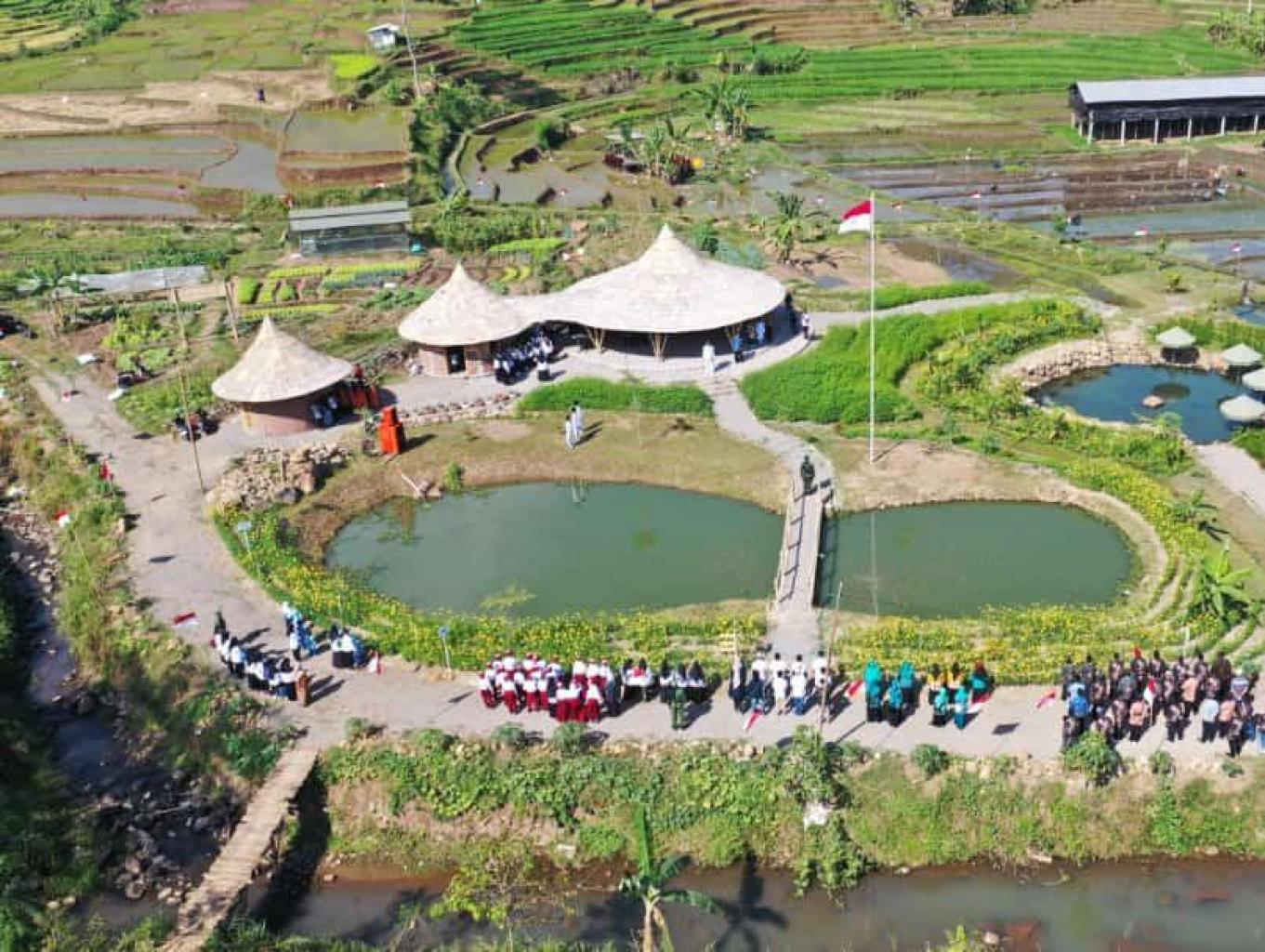 Agrowisata Lembah Kecubung