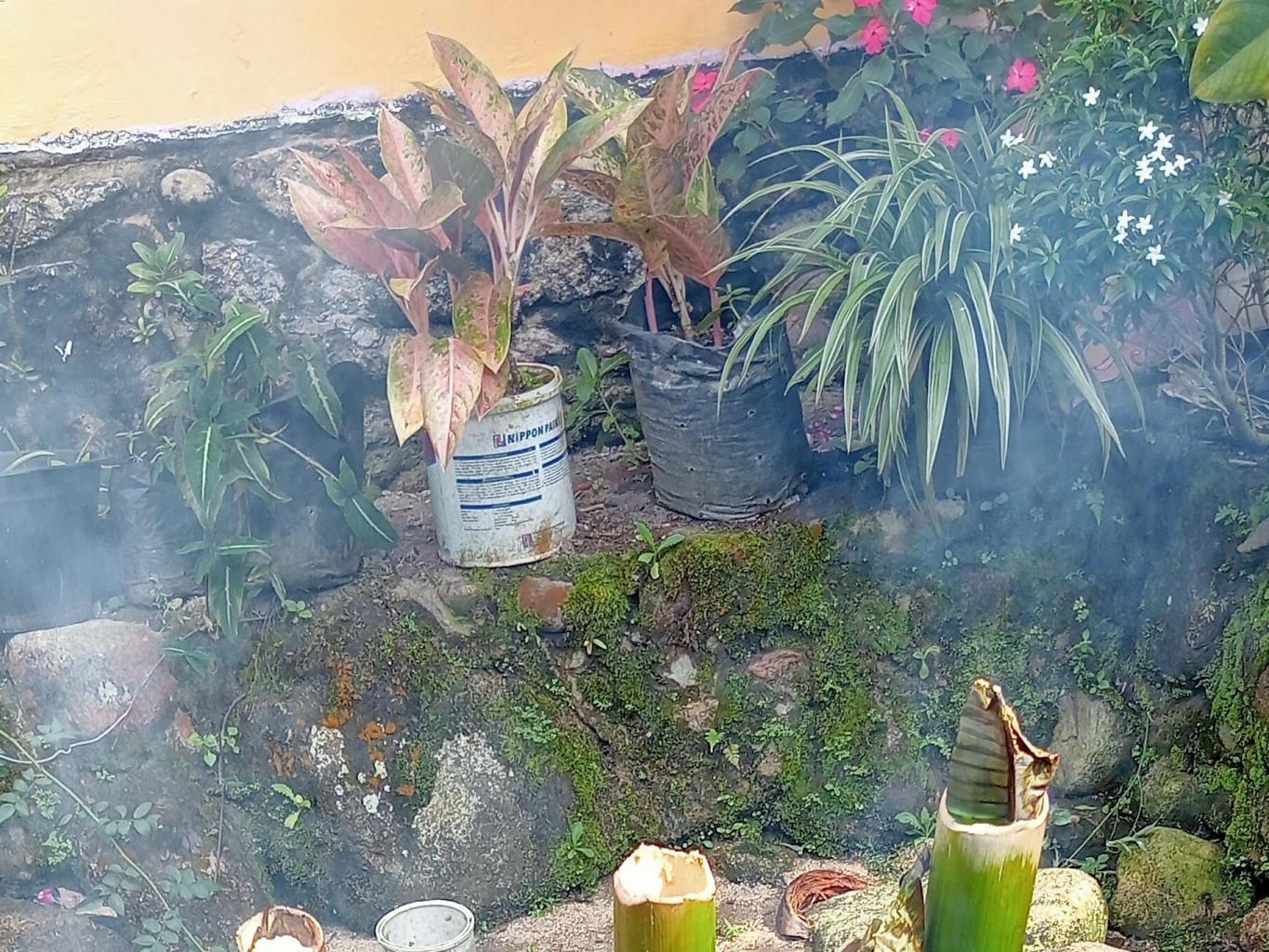 Malamang bulan baiak