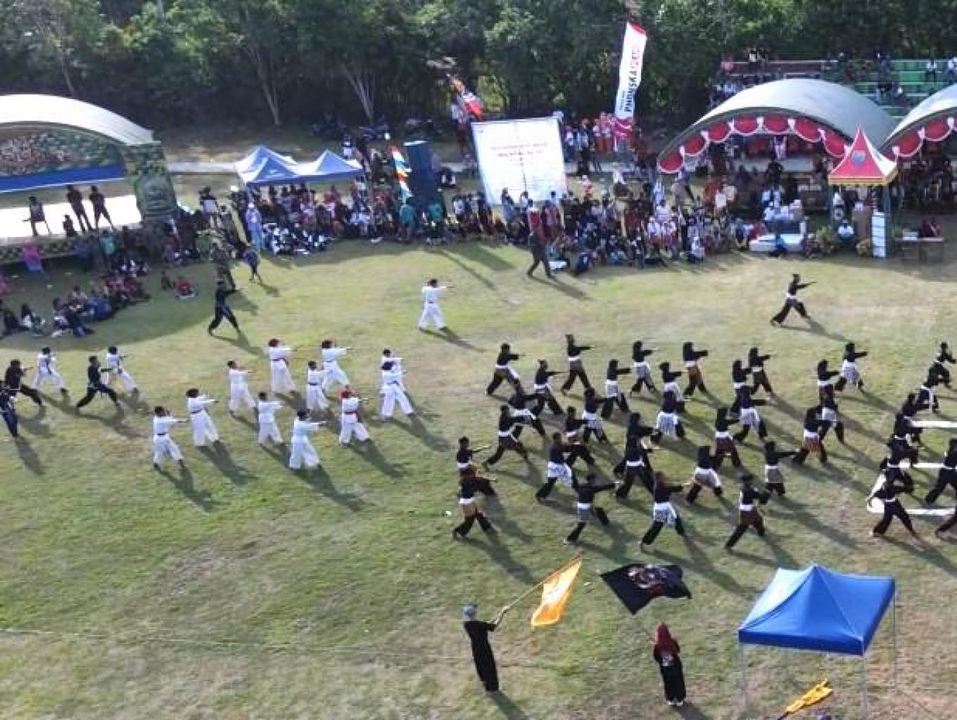 Pencak Silat Desa Waimital