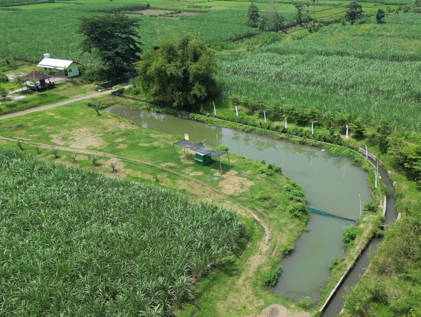 Embung Dewata Camping Ground