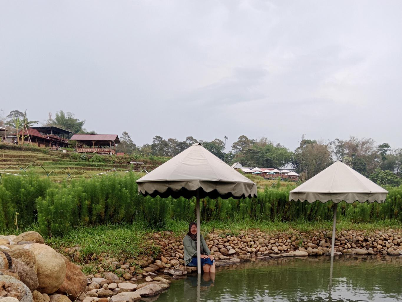 Therapy ikan