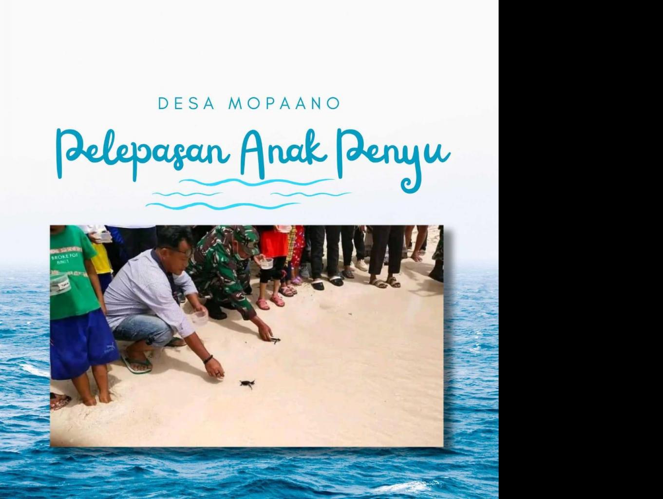 Pelepasan Anak Penyu
