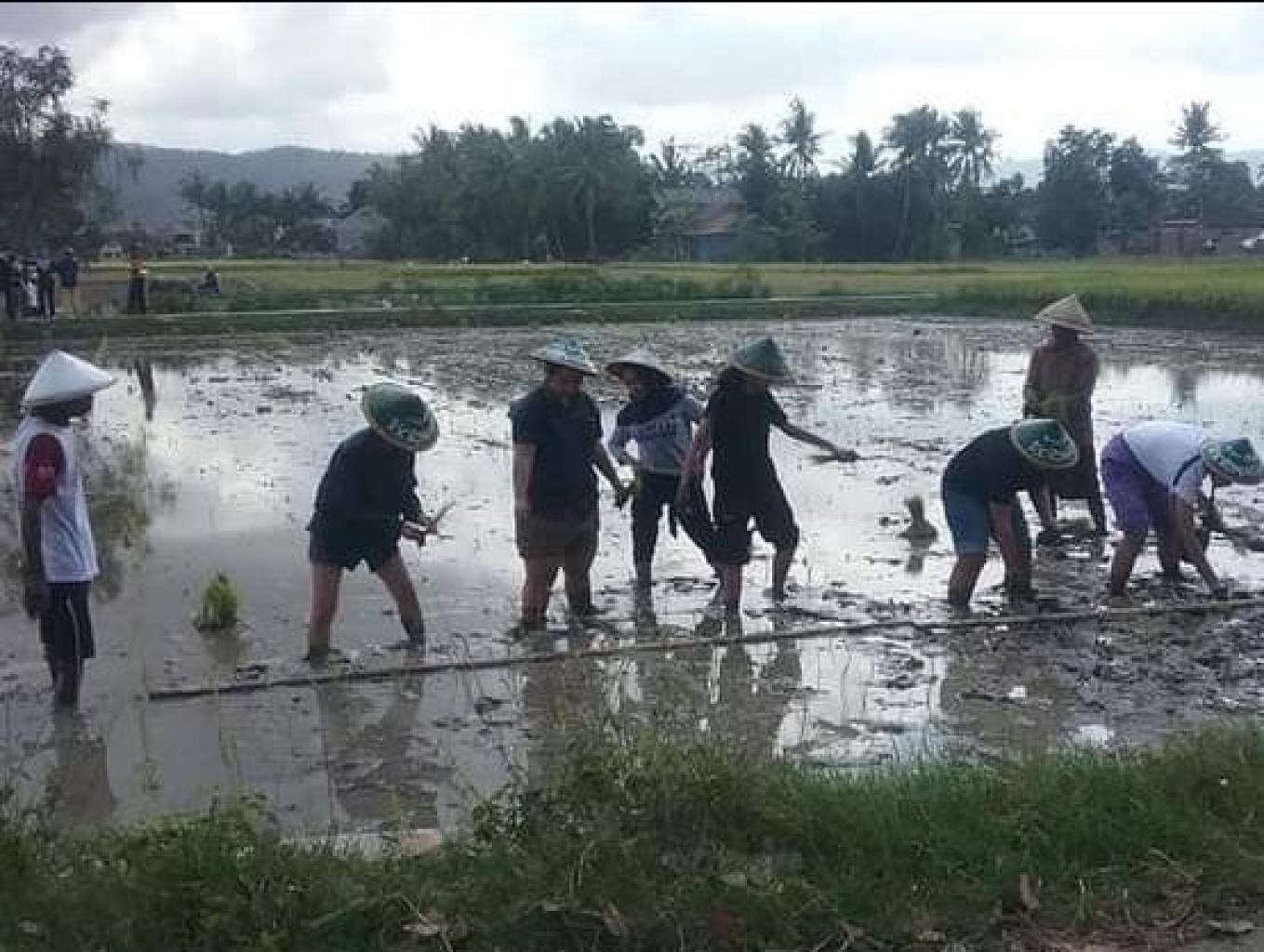 Praktik Tandur 