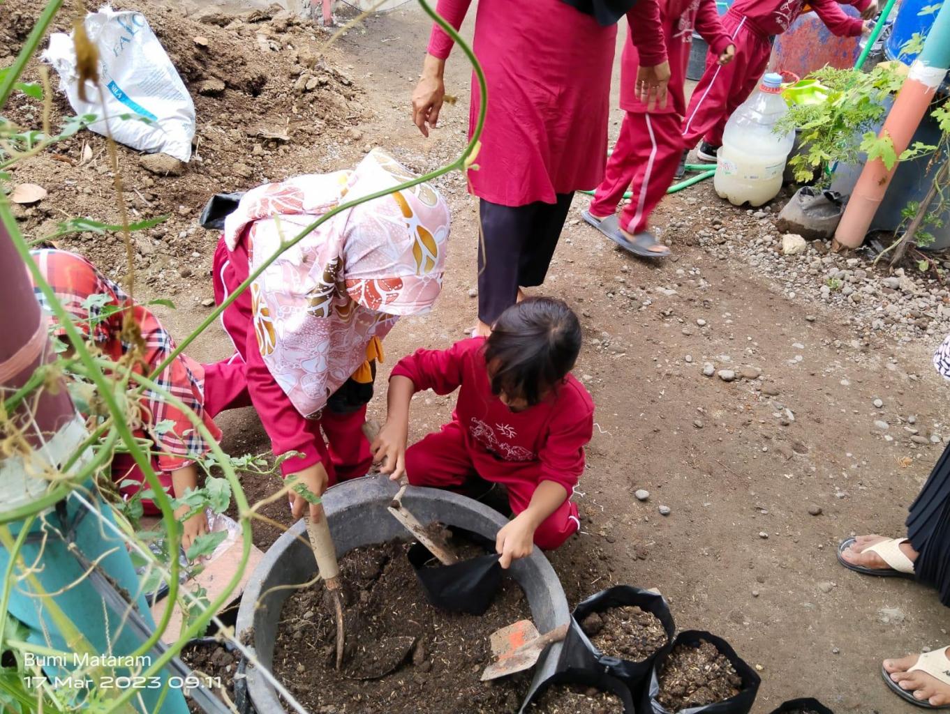 Edukasi Menanam Sayuran Organik
