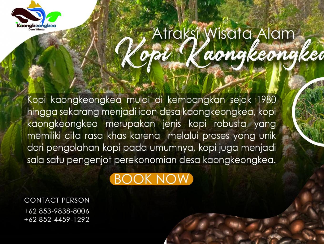 Atraksi Kebon Kopi