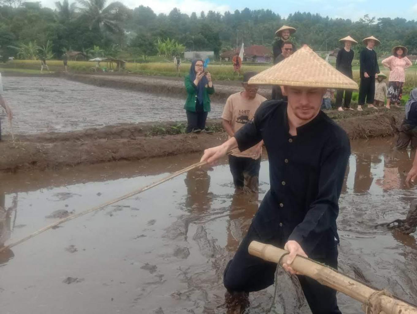Bajak Sawah