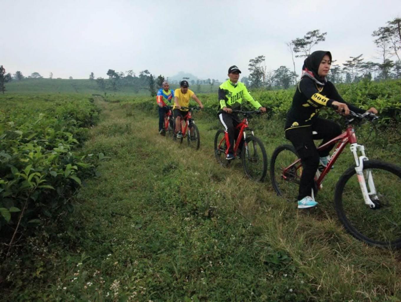 Wisata jelajah alam
