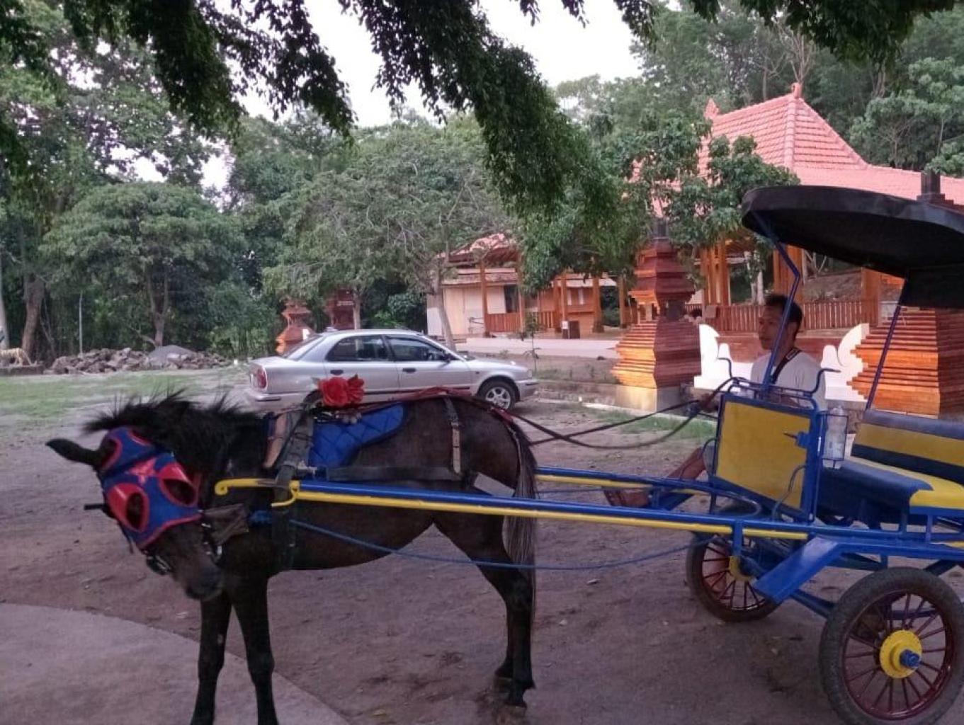 Naik Kereta Bendi