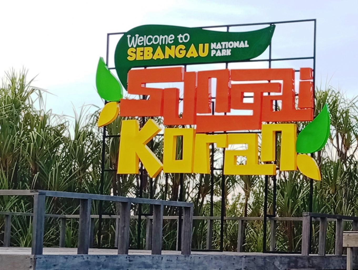 Explore Taman Nasional Sebangau (Paket Wisata Lokal, Domestik, dan Mancanegara)
