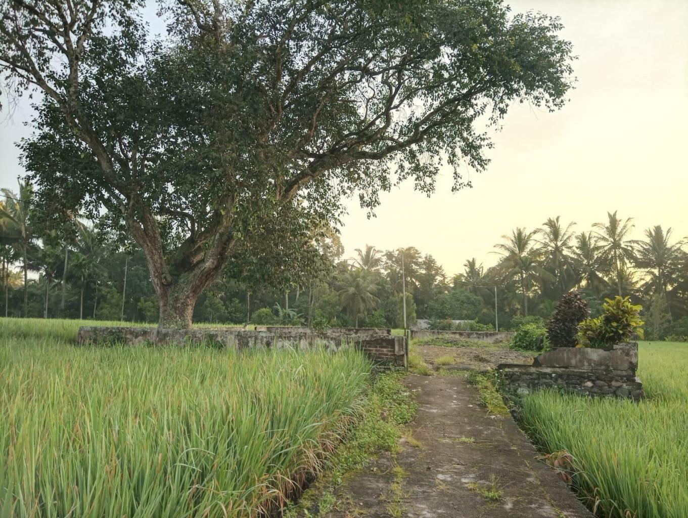 Wisata Religi Tampat Masajik Tuo Galogandang
