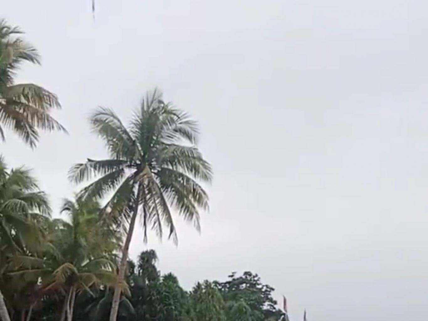 FESTIVAL KELAPA.. MAKAN KELAPA SEPUASNYA