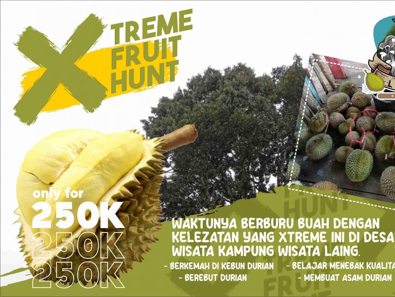 X-Treme Fruit Hunt