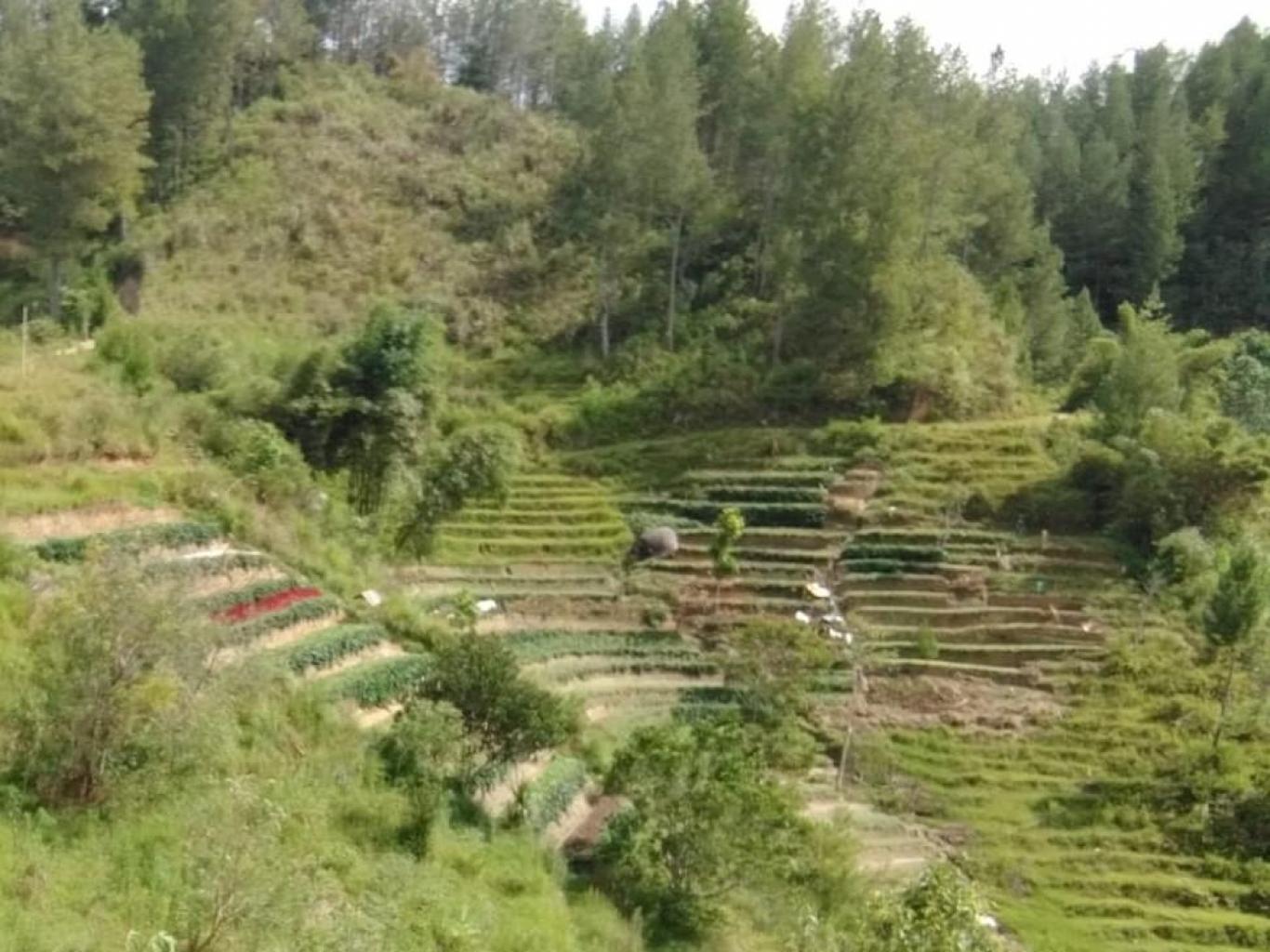 Bukit Perrak