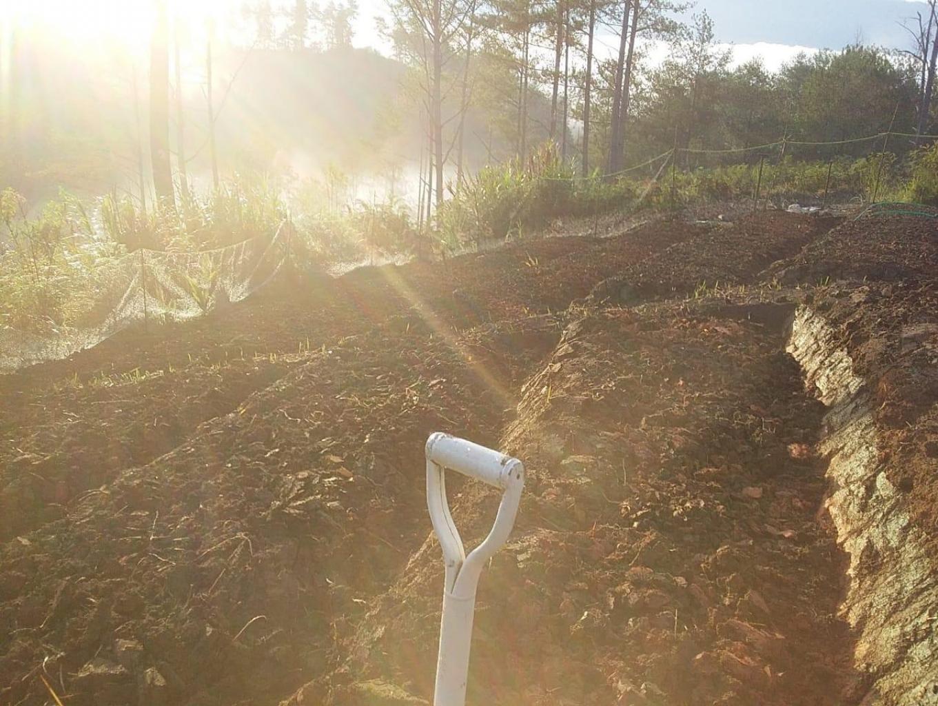 pengolahan kebun sayuran