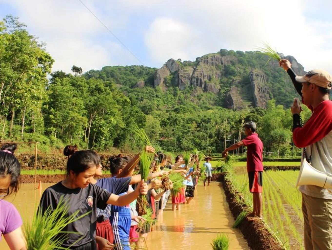 Wisata Edukasi Bajak Sawah dan Tanam Padi 