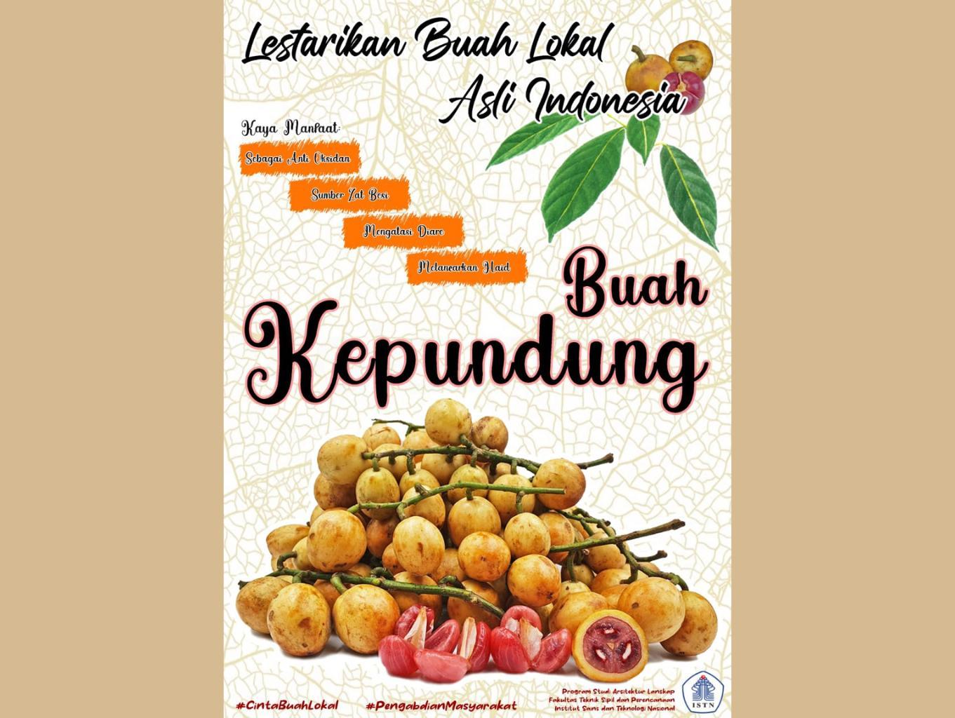 Buah Kepundung