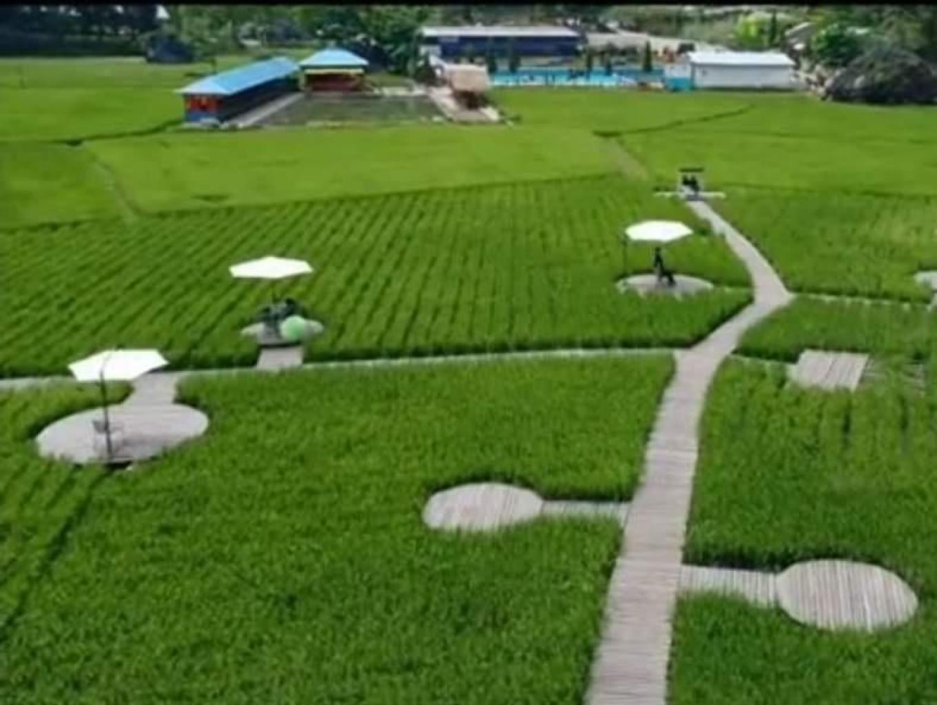 Wisata Galung Dolly