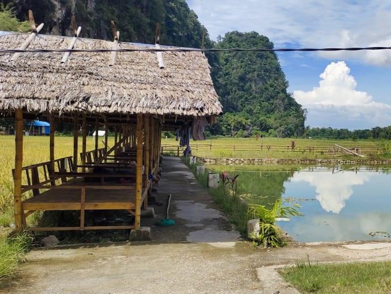Kolam Pemancingan Dan Gazebo