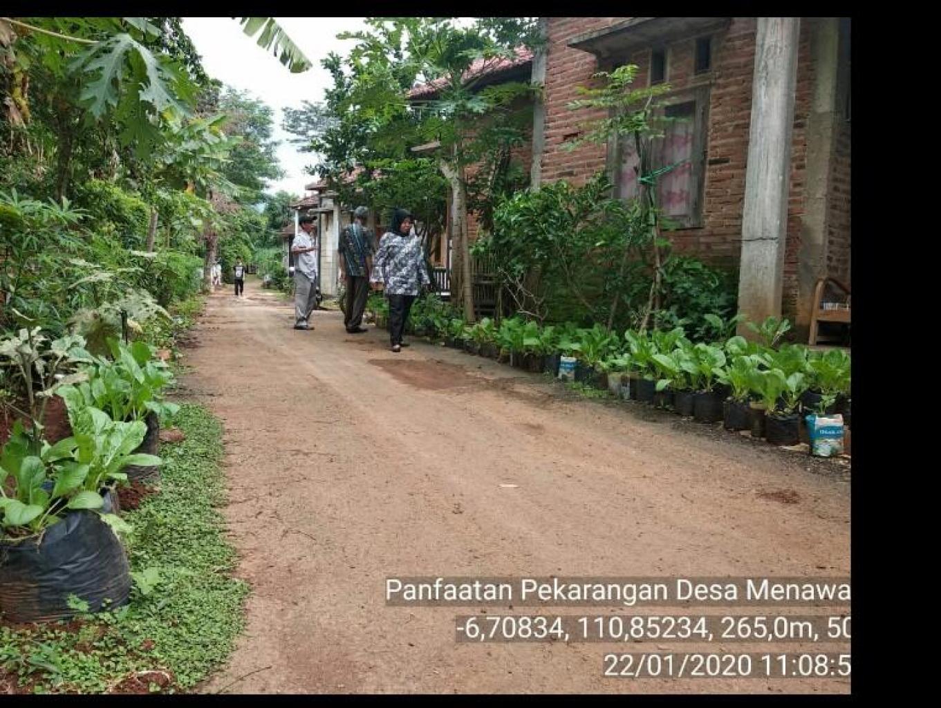 Kampung Sayur