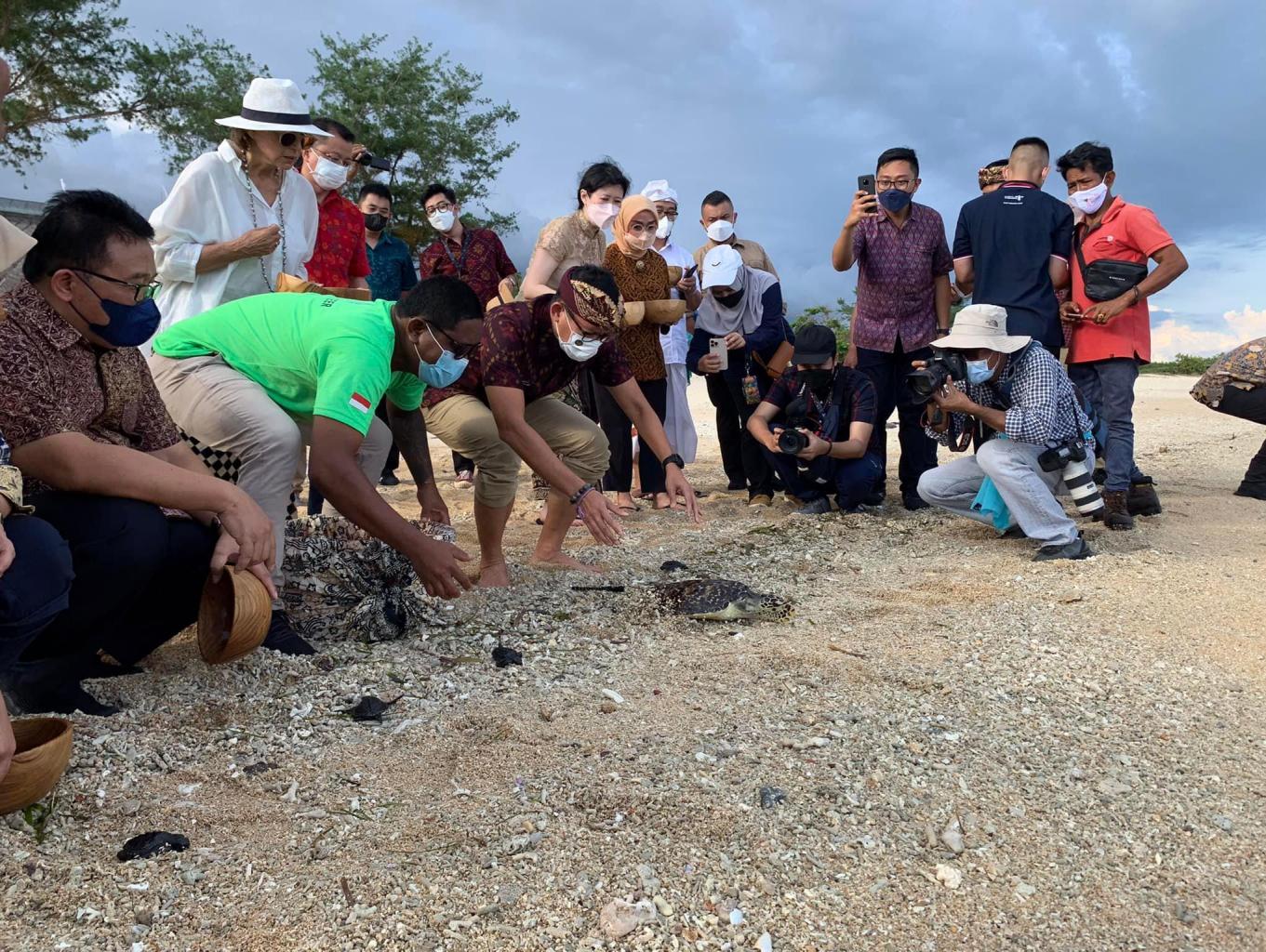 Paket Pelepasan Tukik & Penyu di Pantai Serangan
