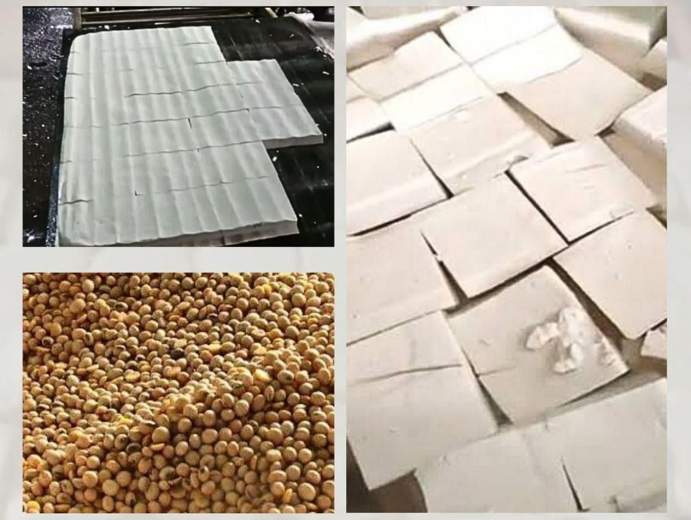 Produksi Tahu
