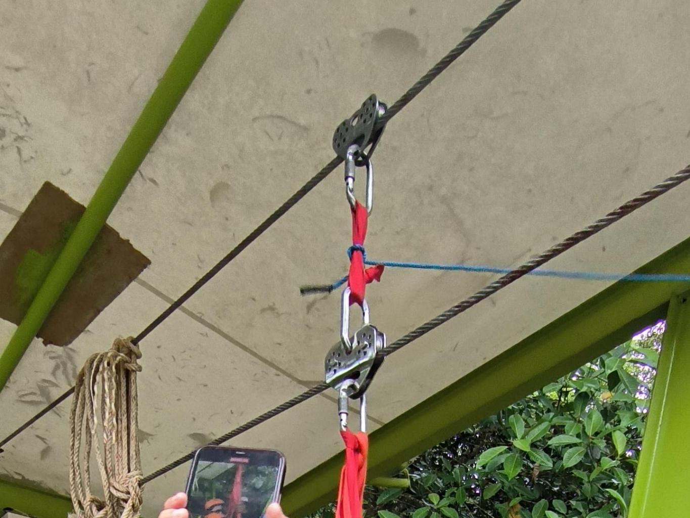 Flying Fox