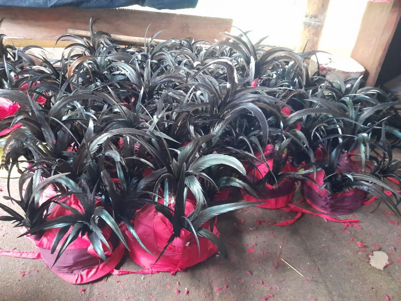 Topi Kawasaran