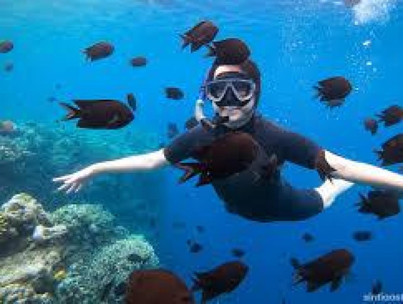 Snorkling di pantai Ulusawa