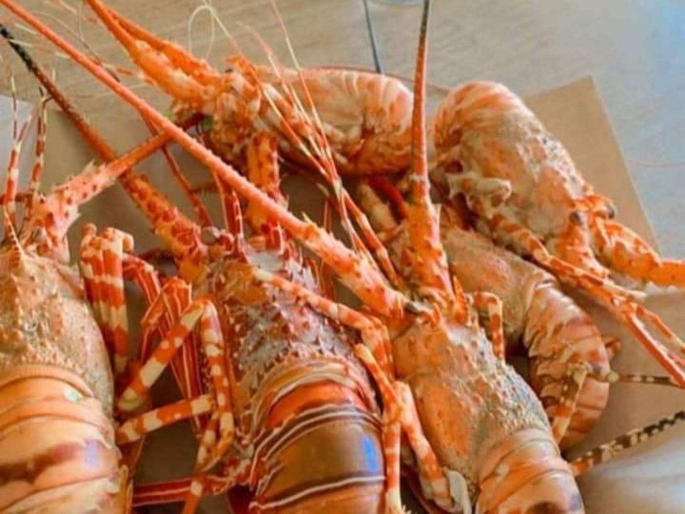 menu seafood lobster