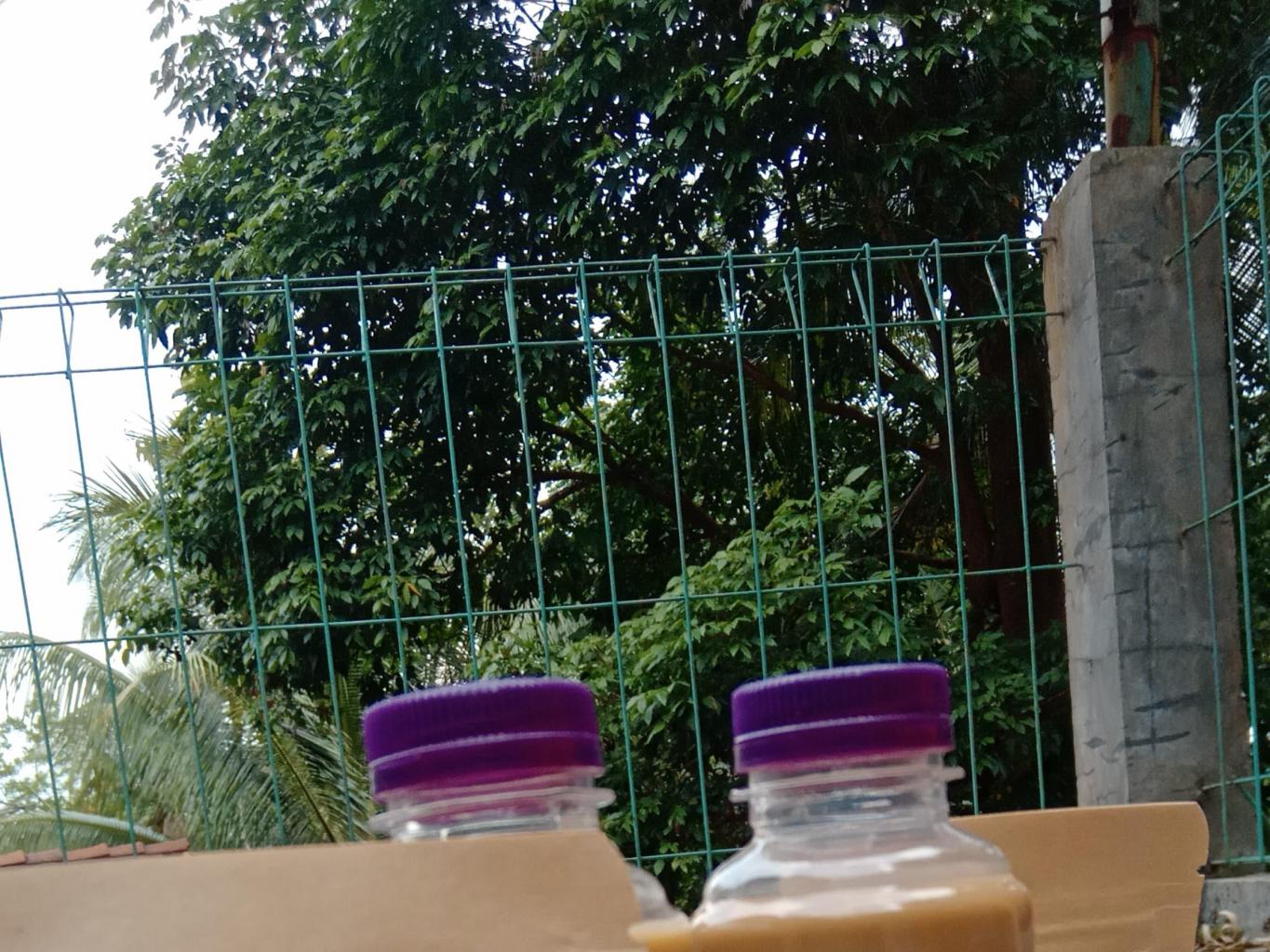 Kopi dewa