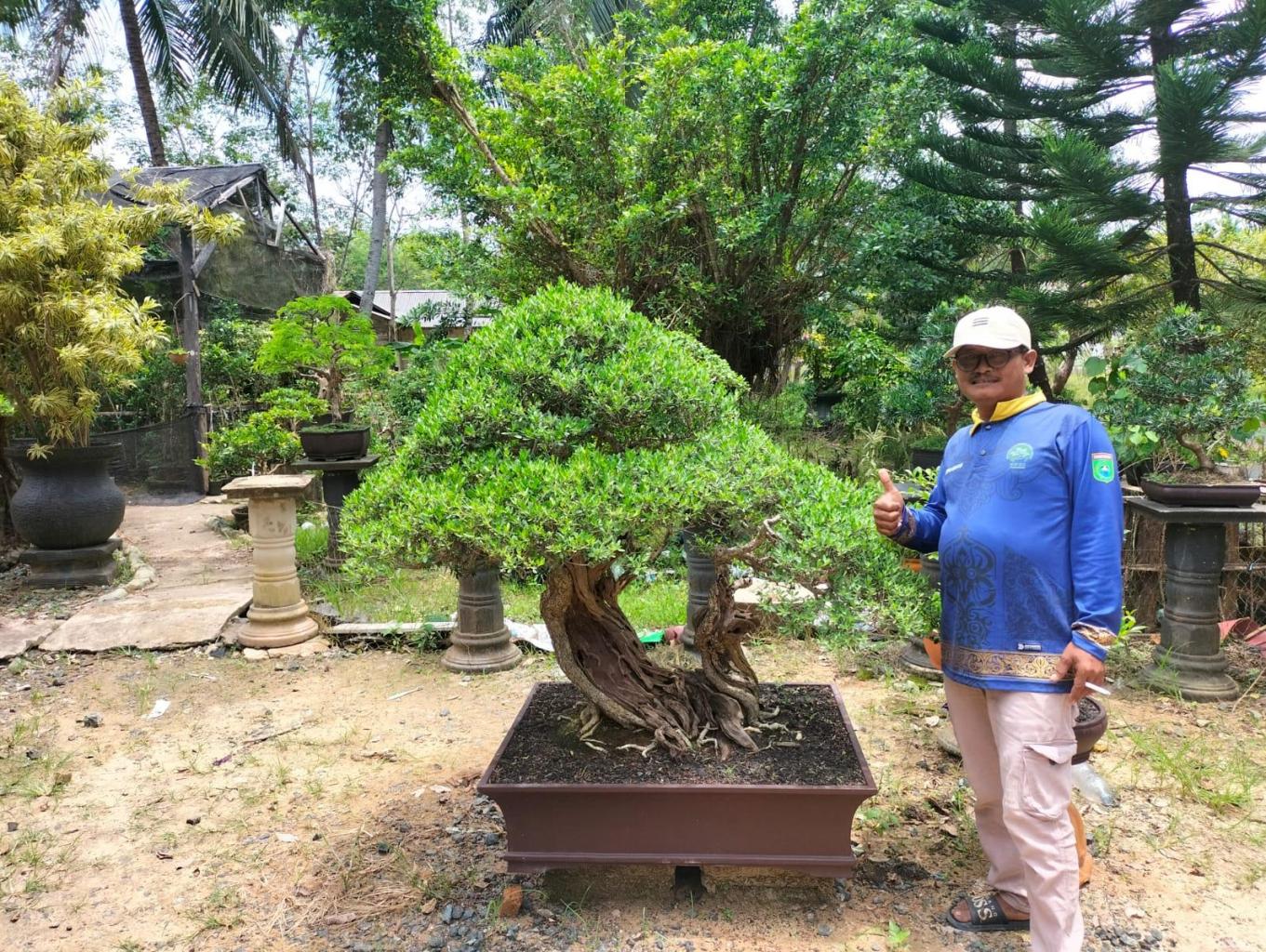 Wisata bonsai