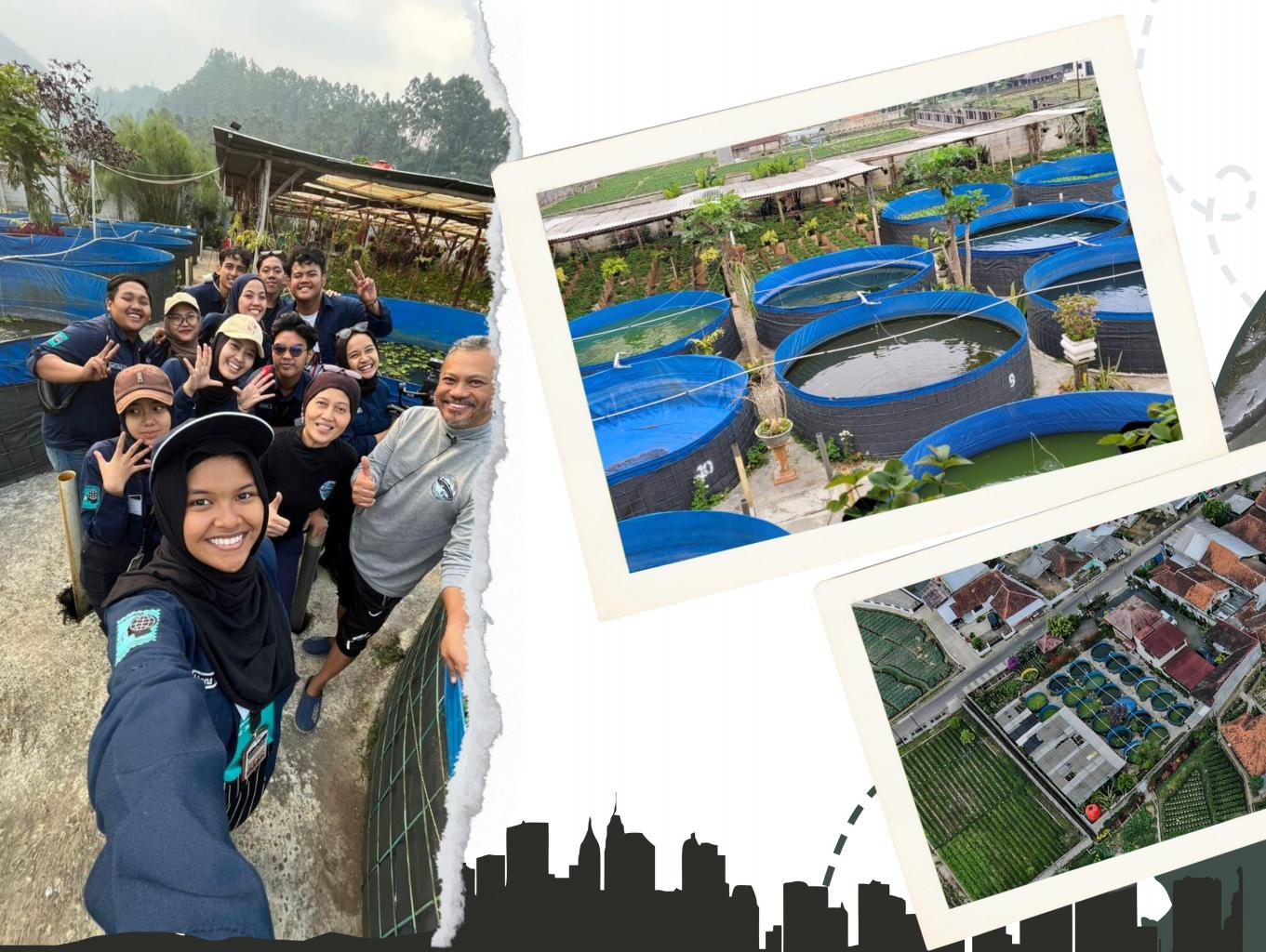 Edukasi Ternak Ikan Lele