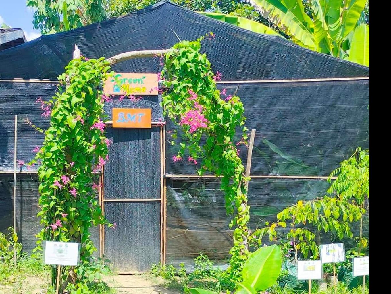 GREEN HOME POKDARWIS BMT