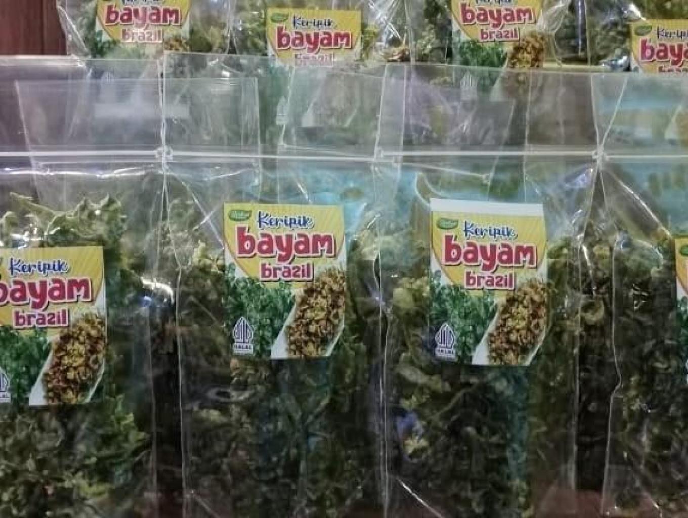 Kripik Bayam Brazil