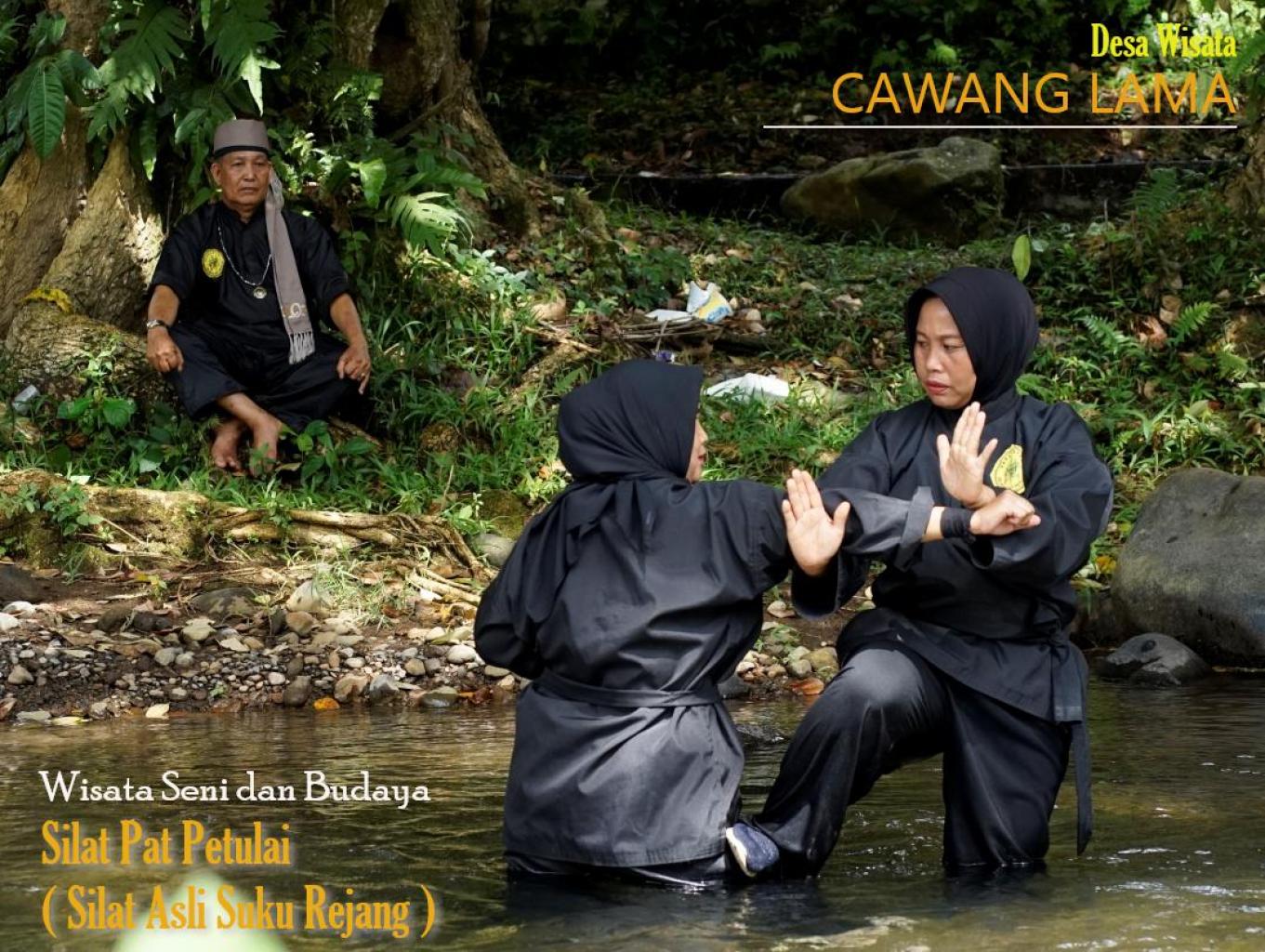 Pertunjukan Seni dan Budaya Silat Pat Petulai