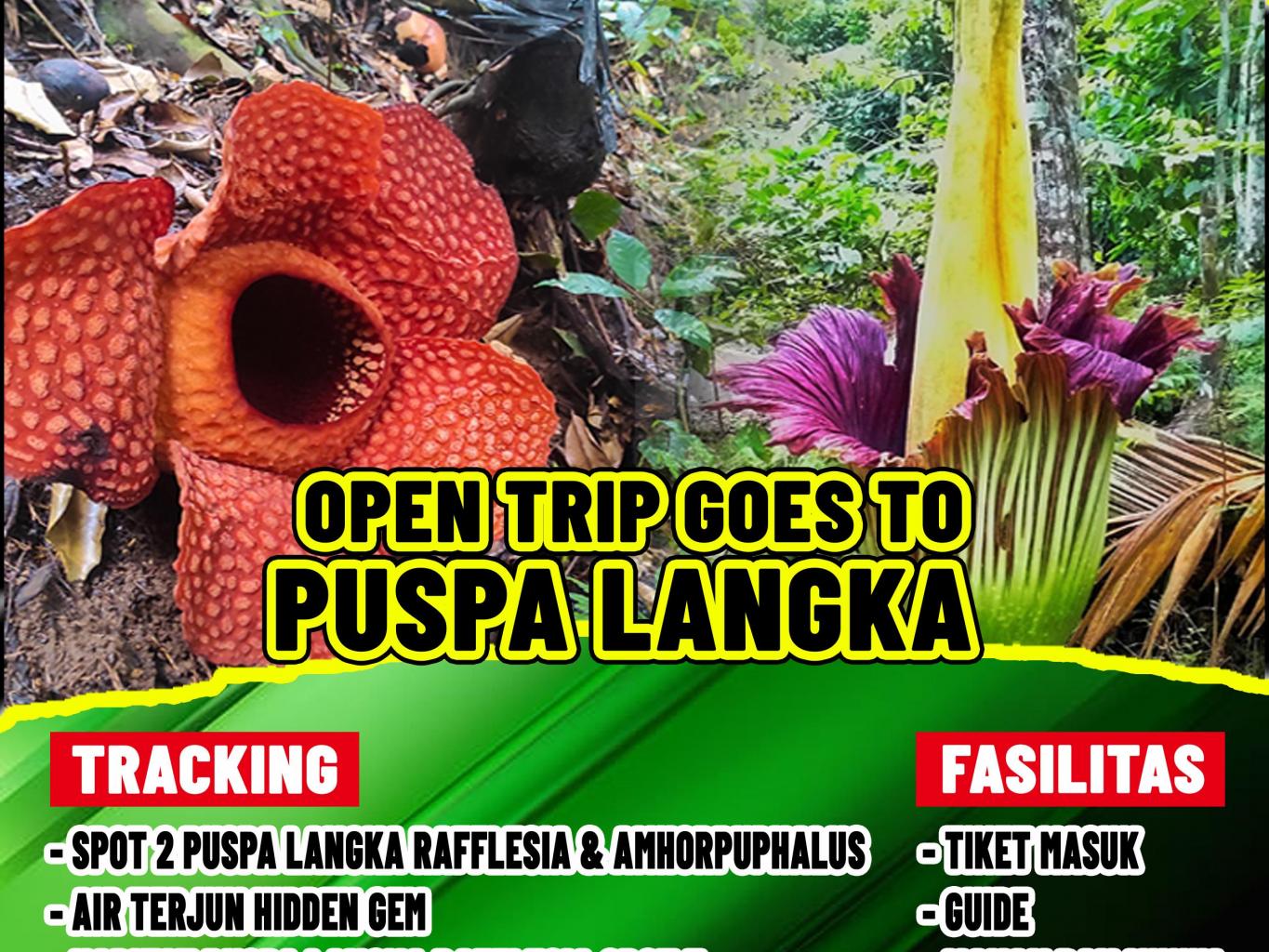 Paket Wisata Minat Khusus