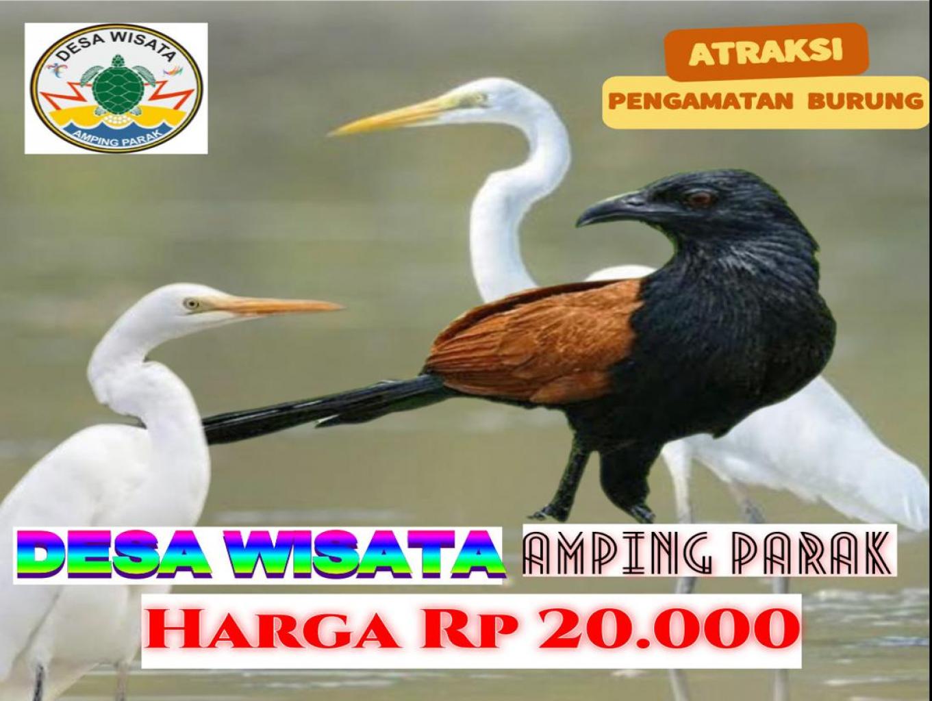 Pengamatan Berbagai Jenis Burung