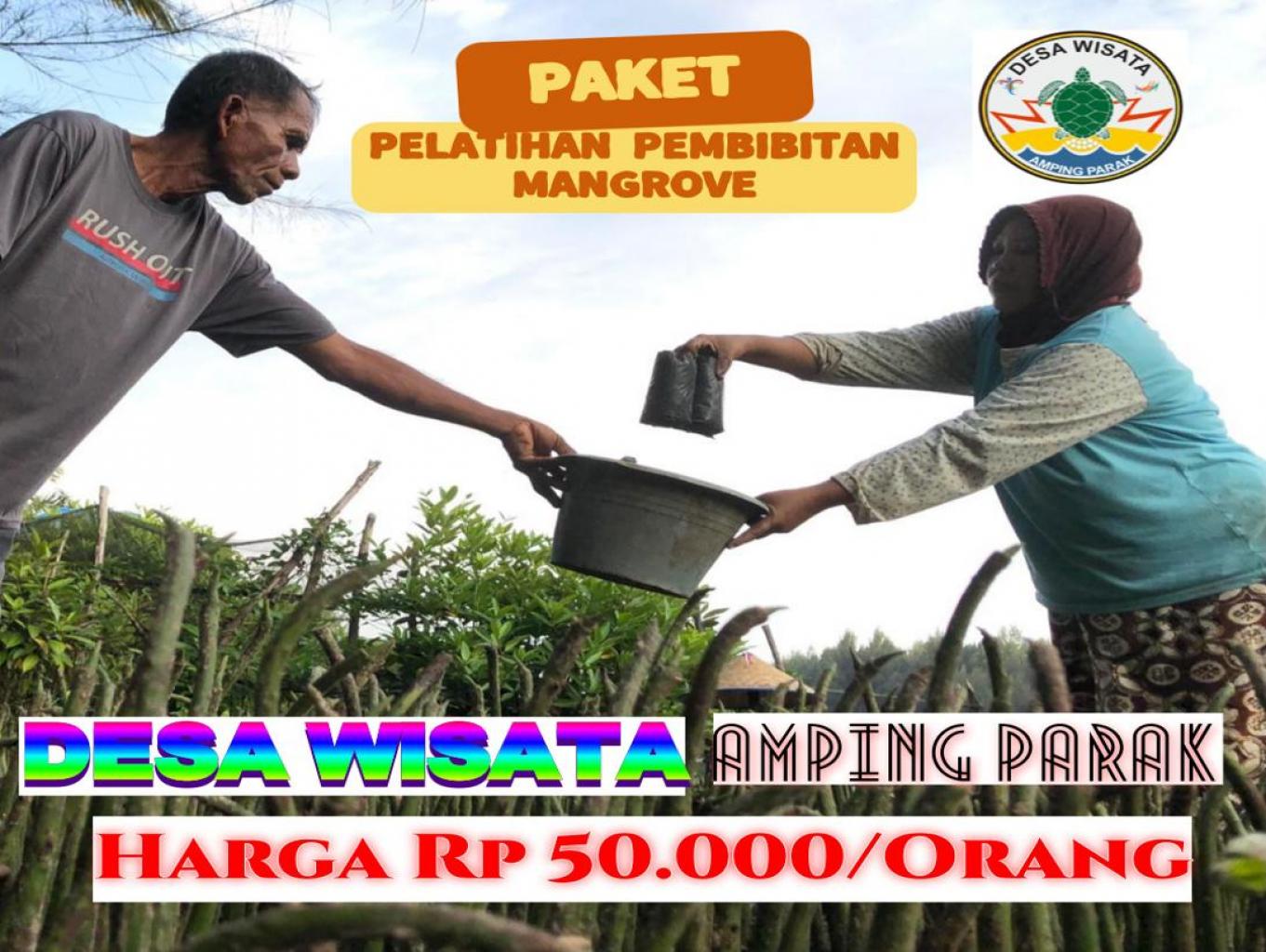 Paket Pelatihan Pembibitan Mangrove