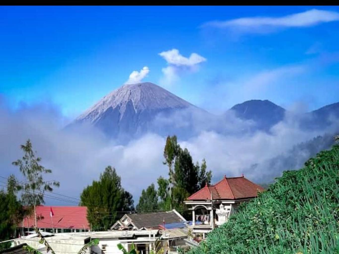 View  gunung Semeru sore hari 