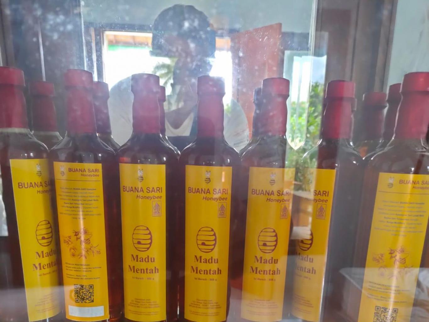 Madu lebah asli