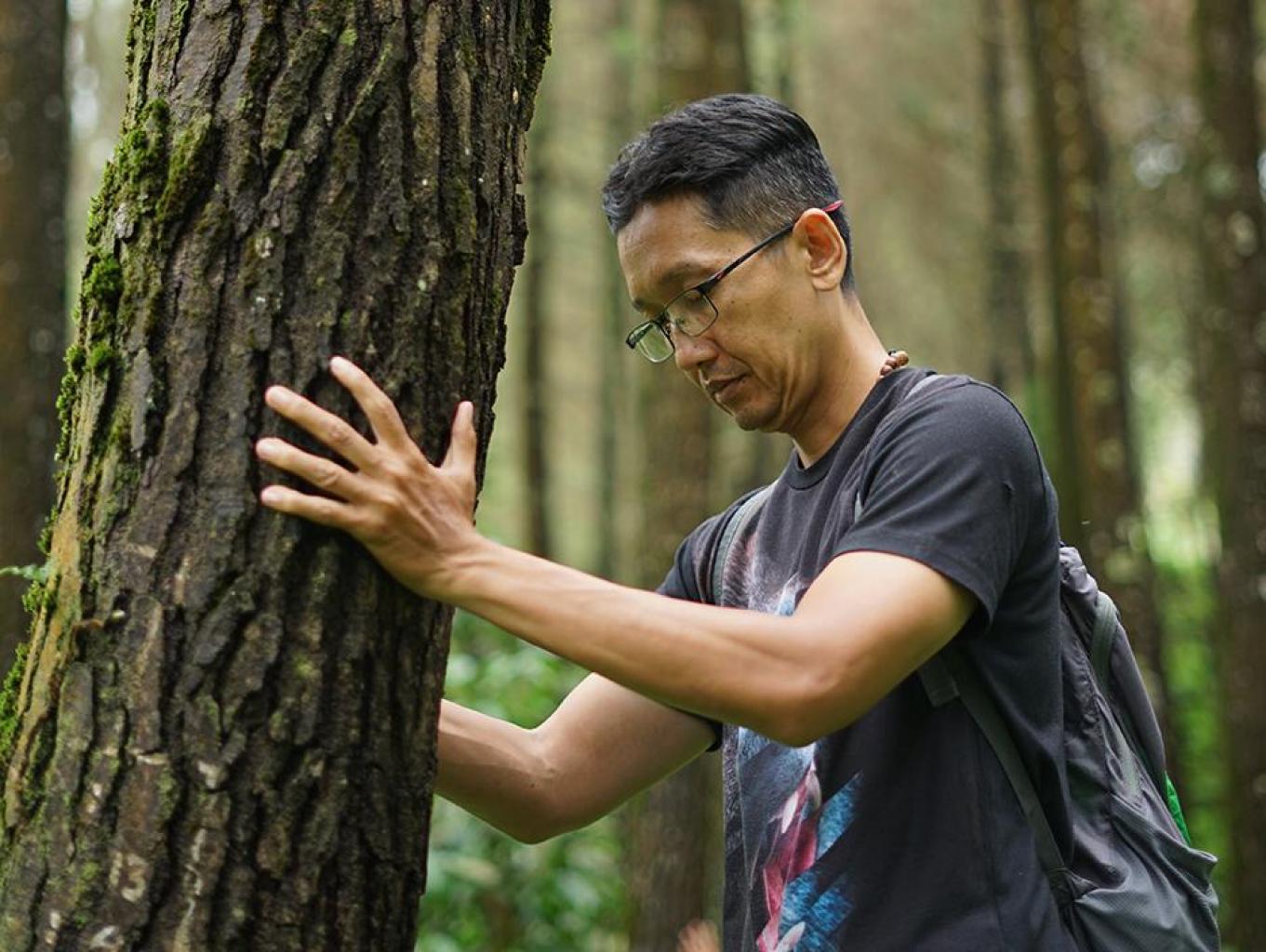 Forest Bathing